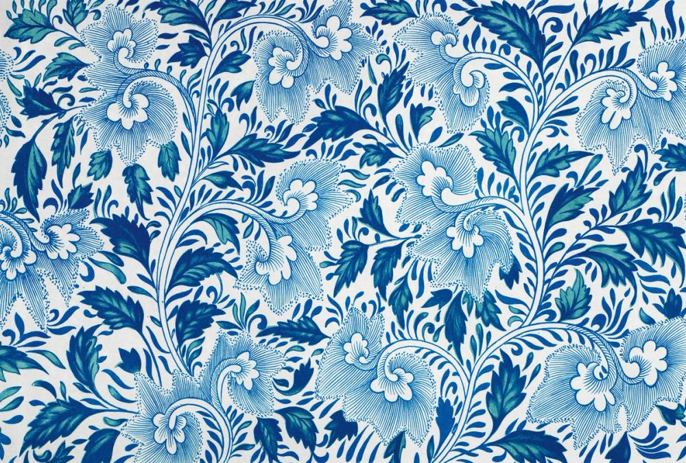 Chinese Flower Illustration I