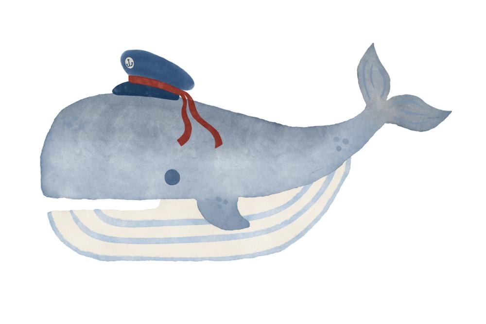 Skipper Whale
