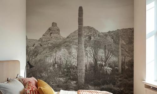 Desert Mornings