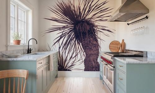 Palm