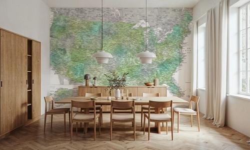 US Map Detailed - Oriole