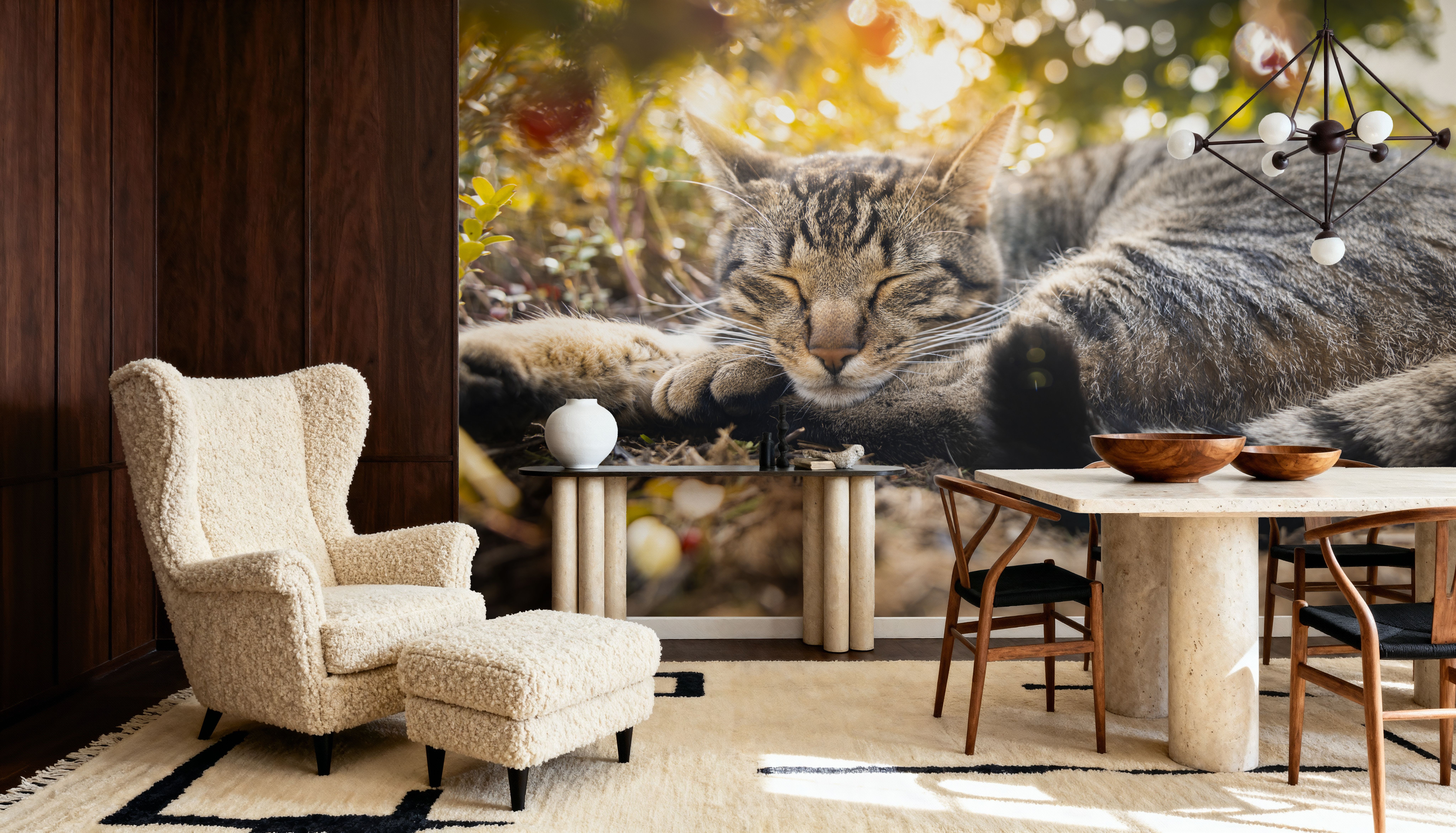 Cat Chill