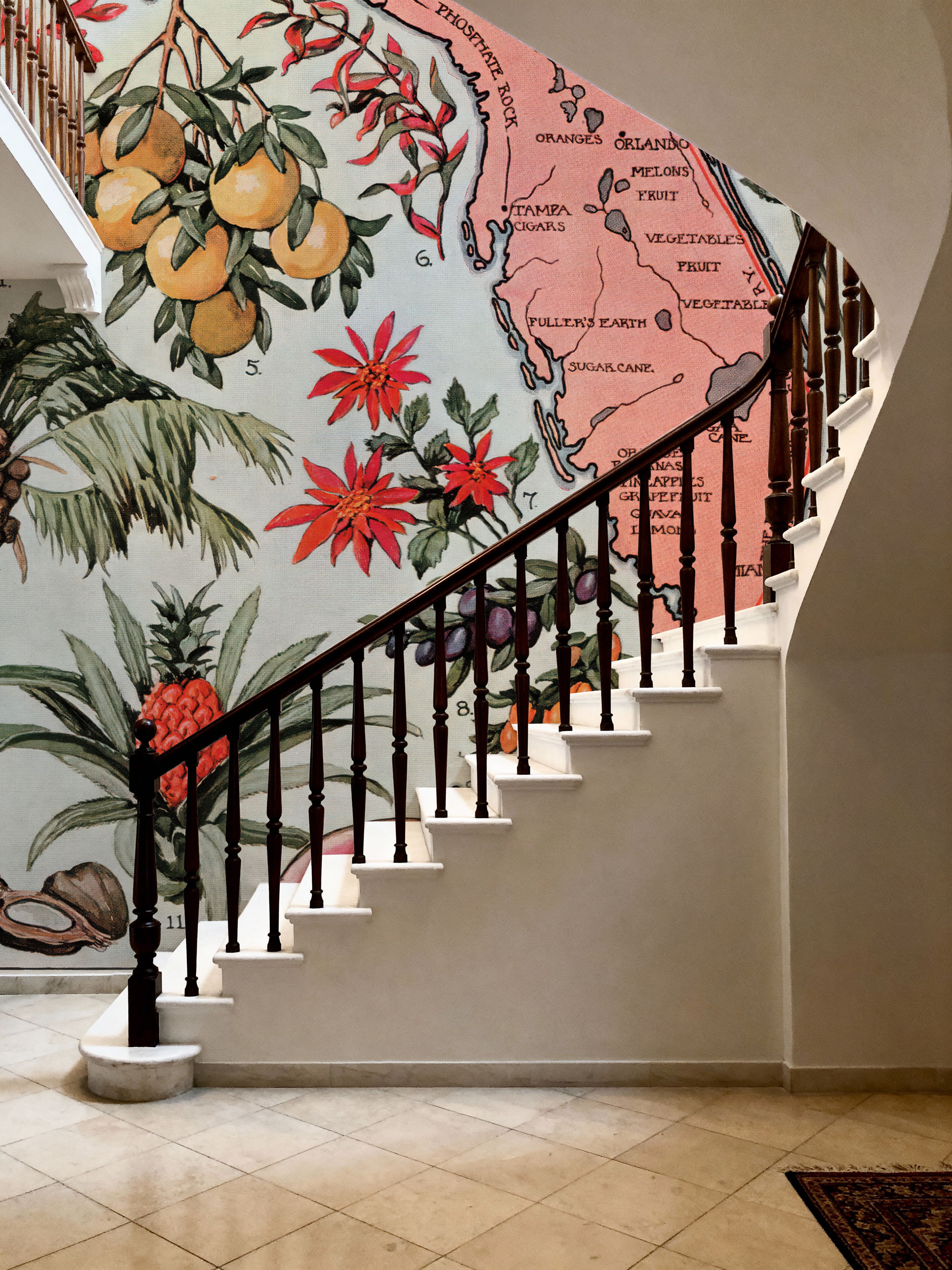 Vintage Florida Botanical Map