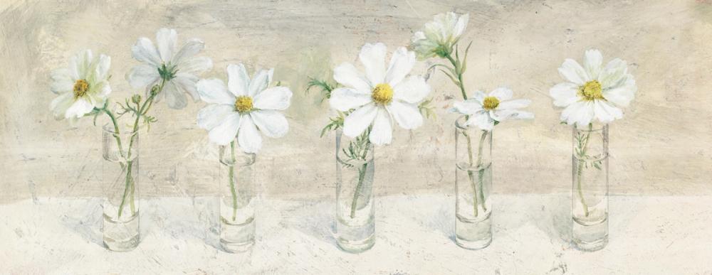 Row of Cosmos in Glasses Neutral