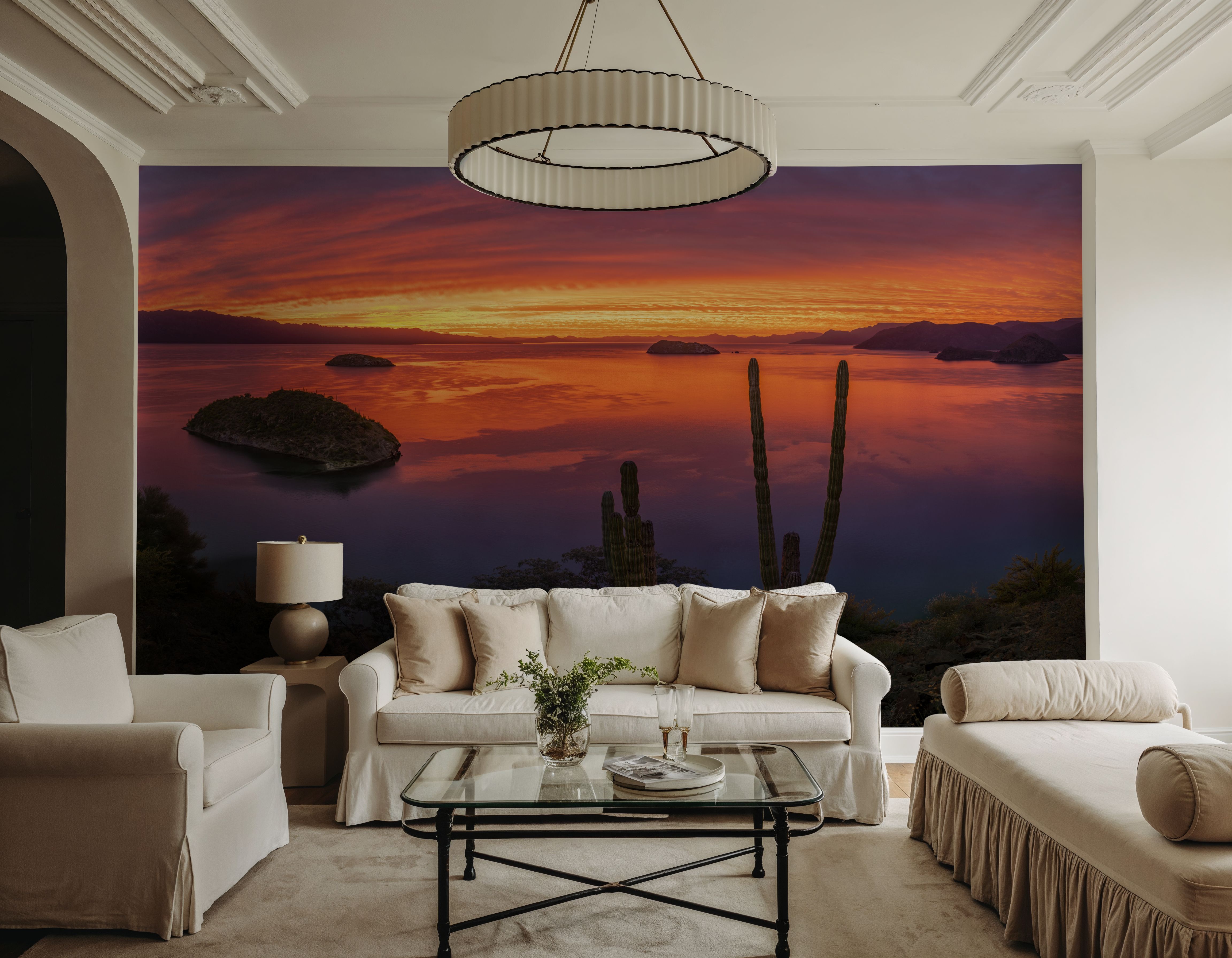 Cardon Cactus Sunset