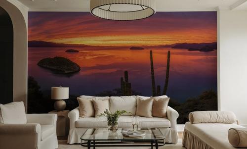 Cardon Cactus Sunset