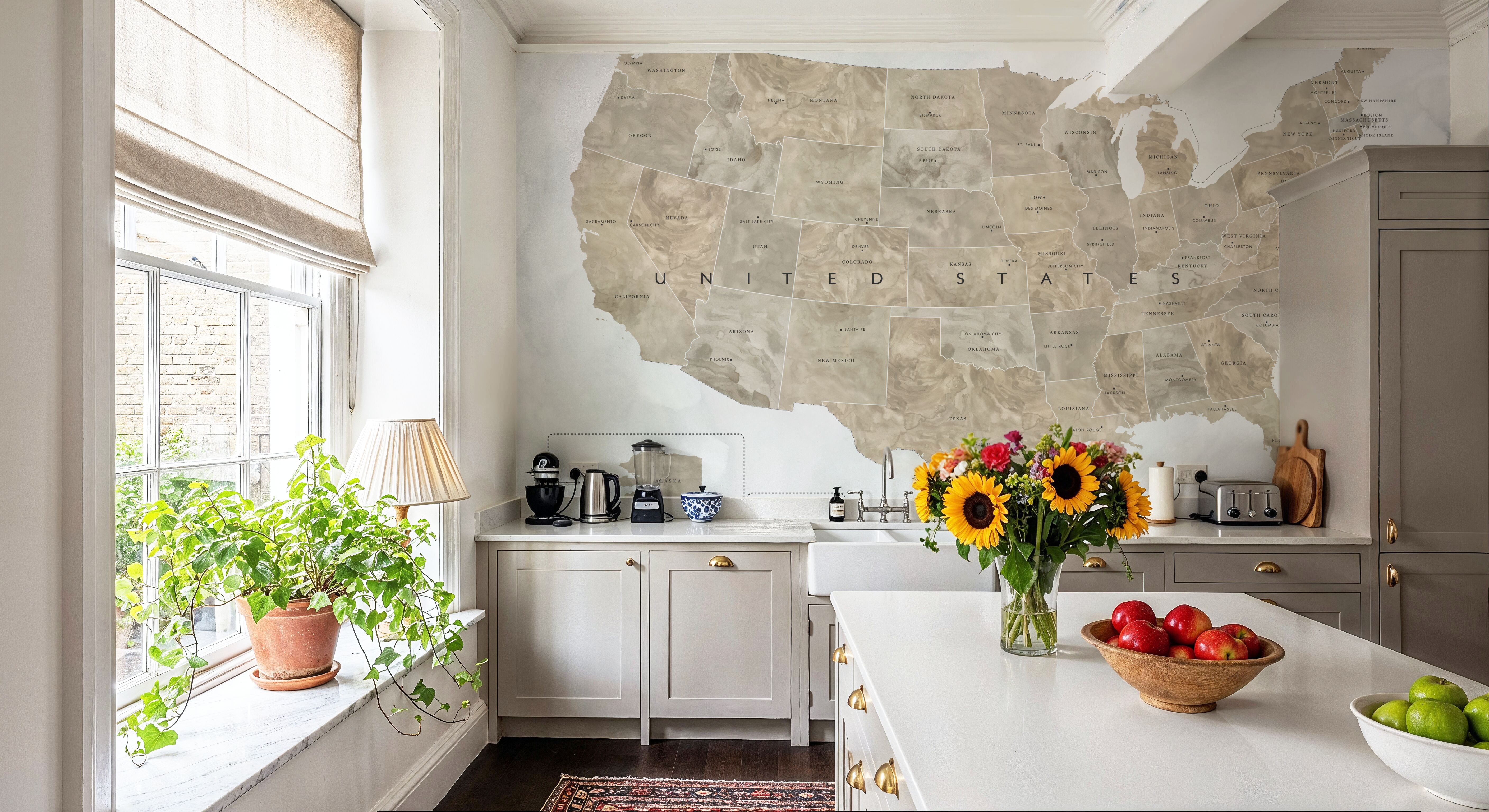 US State Map - Abey Wash