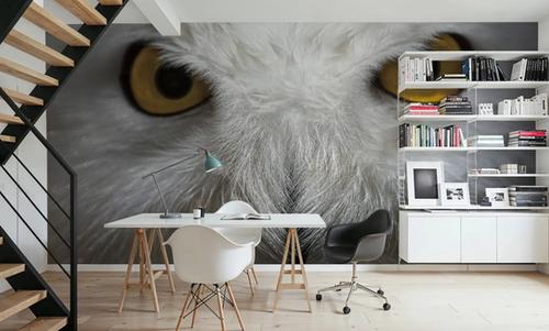 The Owl Star