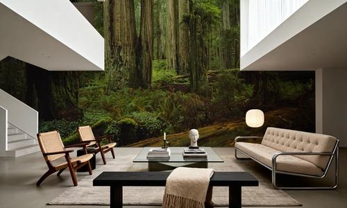 Mossy Haven
