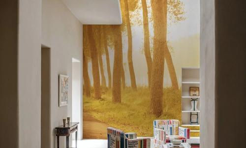 Golden Forest Trail