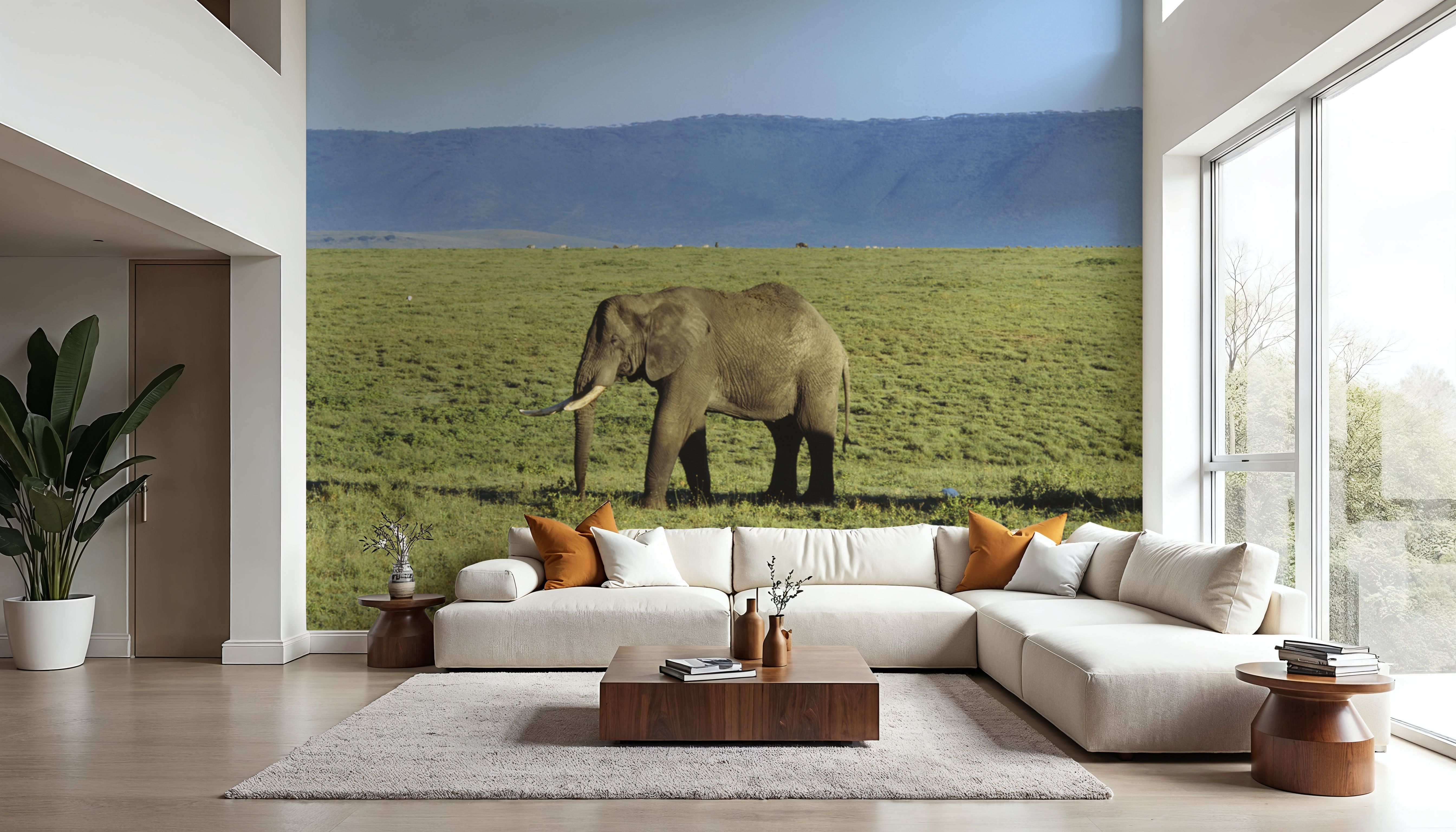 Savanna Migration
