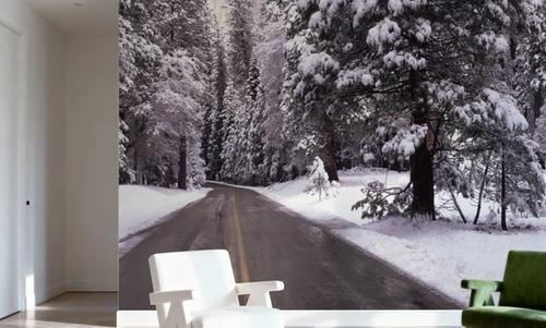 Winter's Path