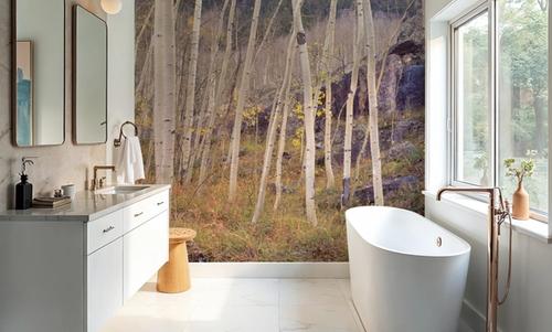Aspen Grove Serenity