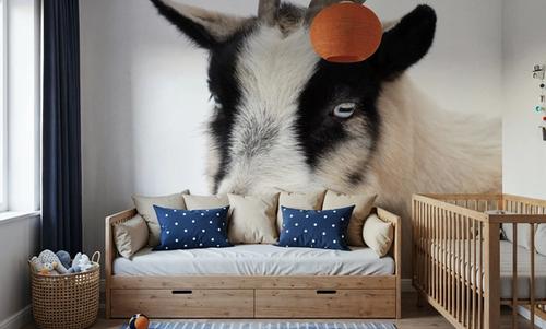 Pippa the Goat IV