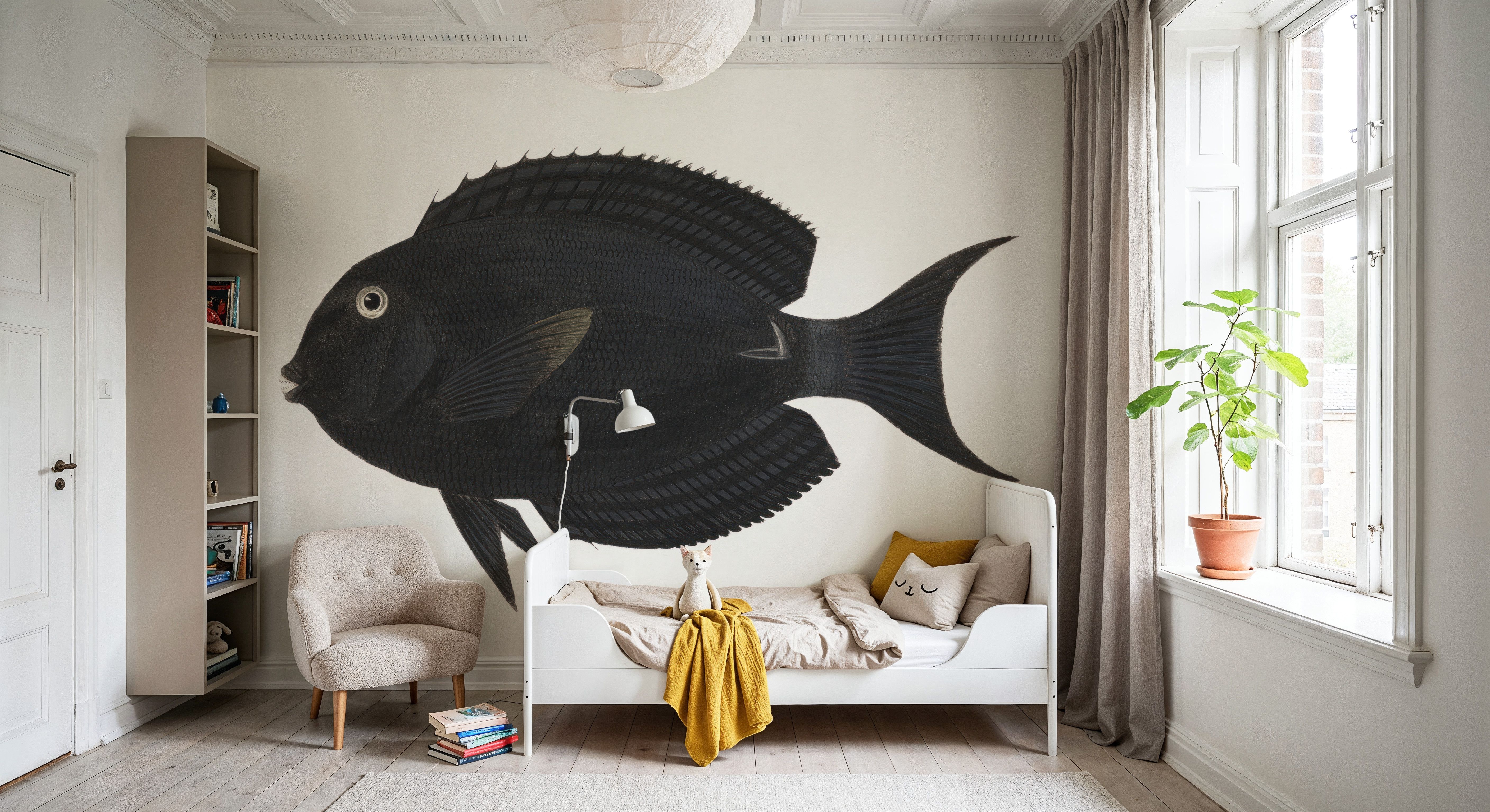 Black Surgeonfish
