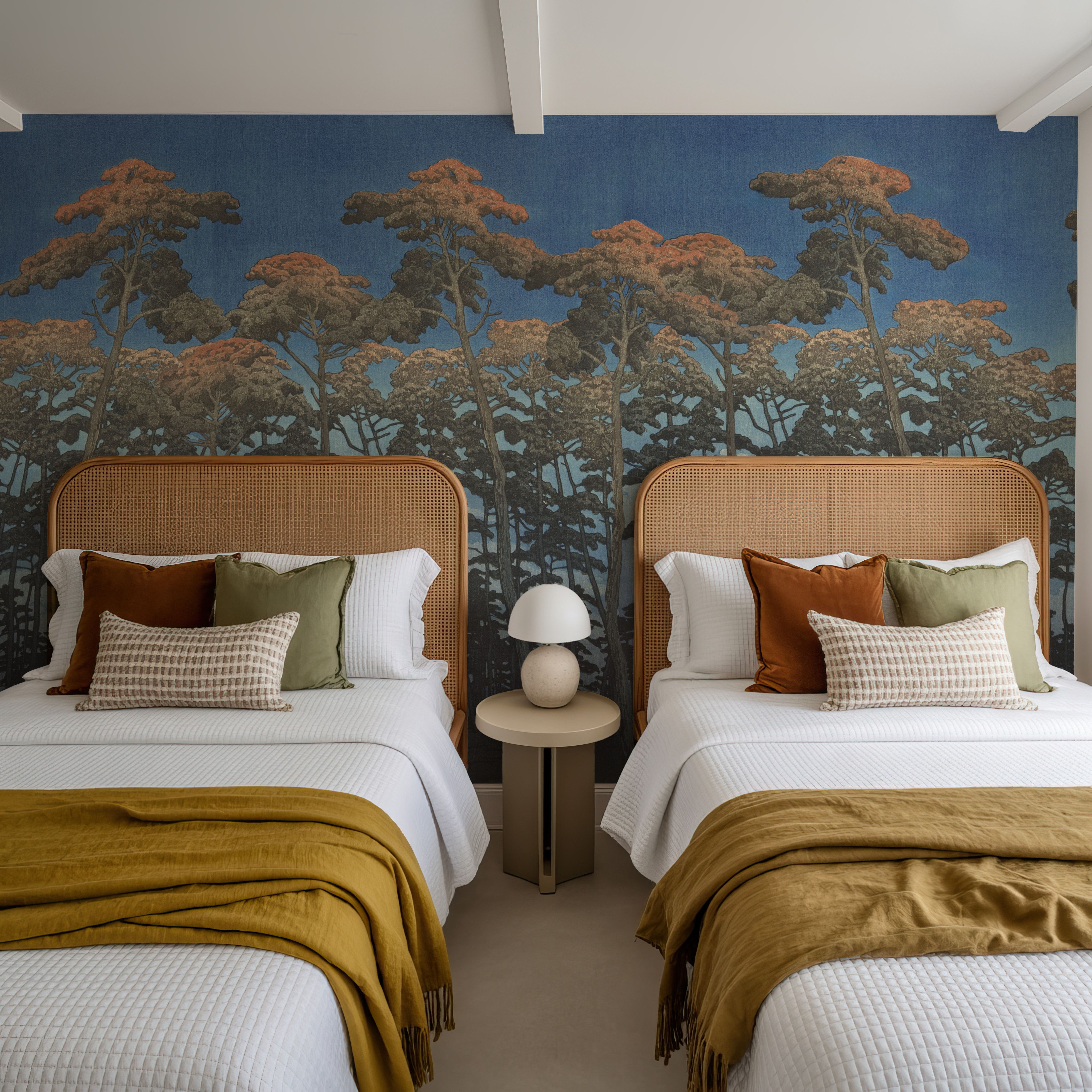 Tranquil Pinescape, Night