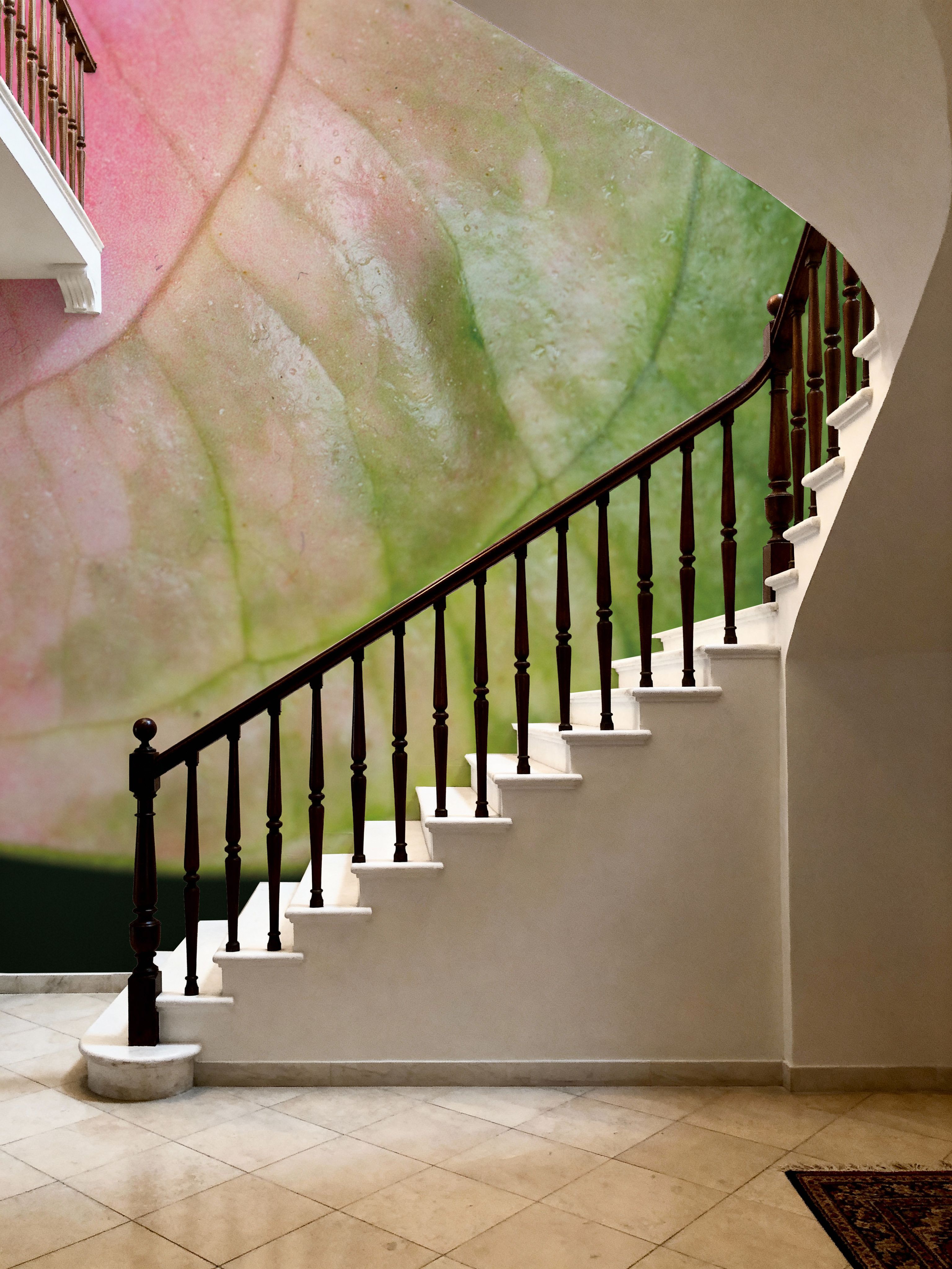 Pink And Green