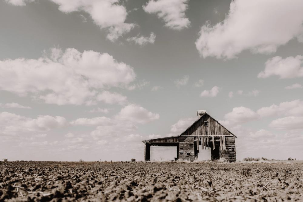 Holding on for Summer