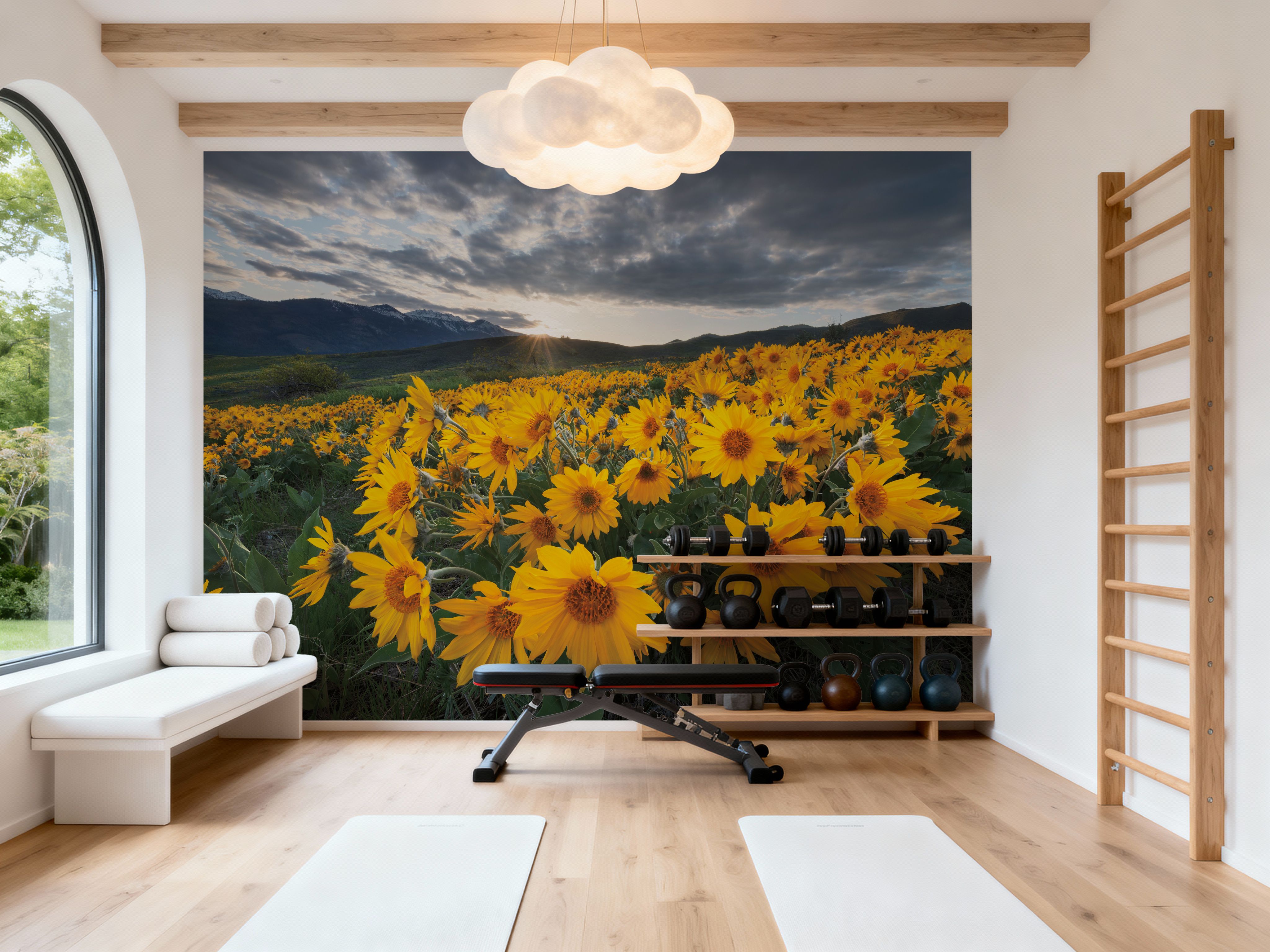 Methow Valley Wildflowers I