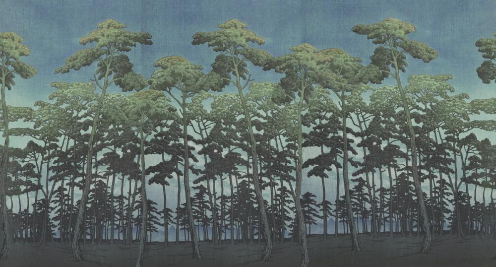 Tranquil Pinescape, Dusk