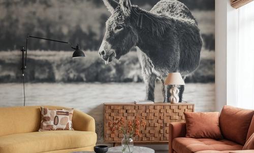 Donkey Summer I