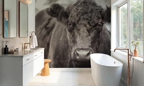The Cow