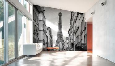 Eiffel Tower in Paris, Black & White