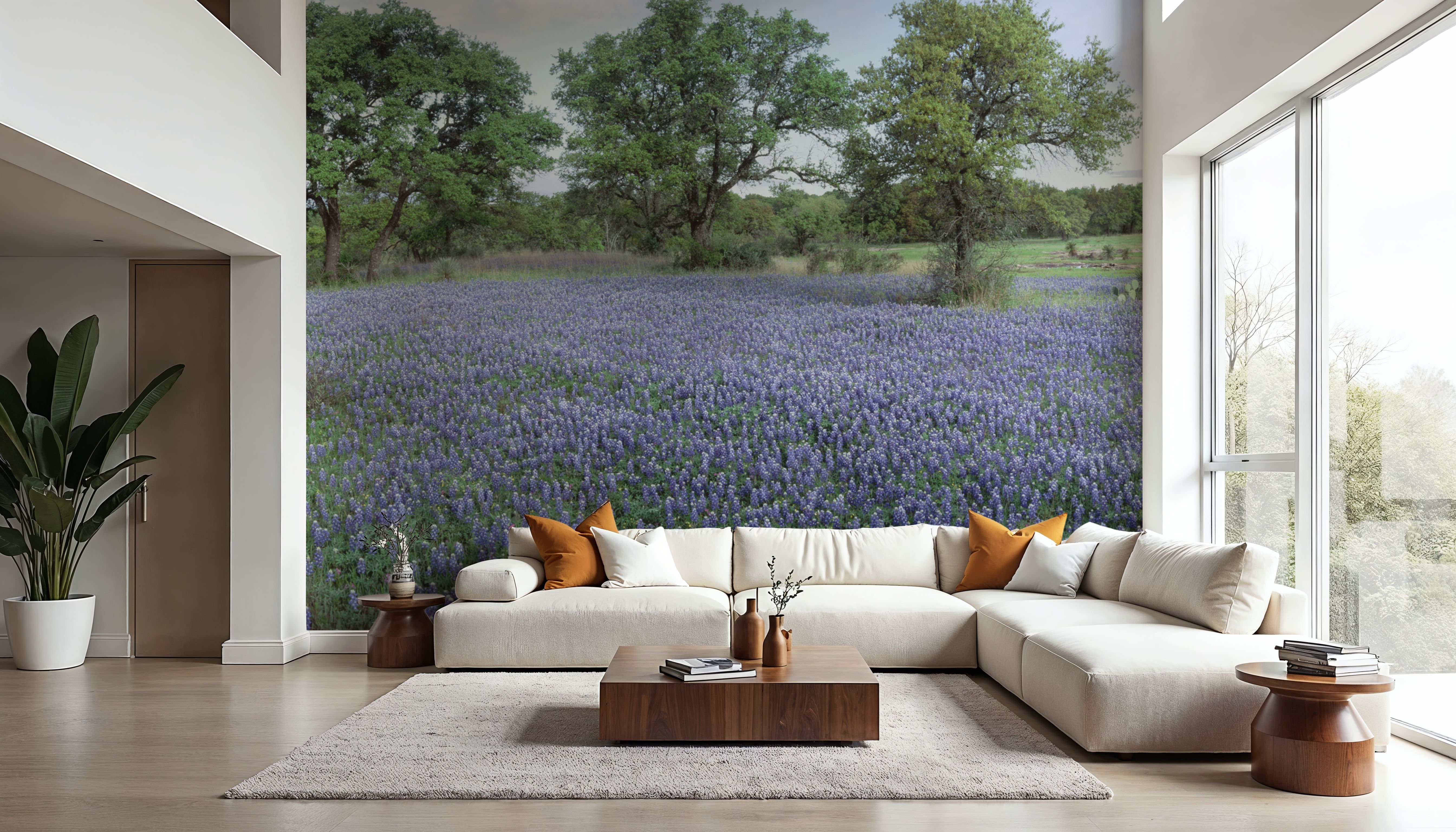 Texas Bluebonnet Paradise