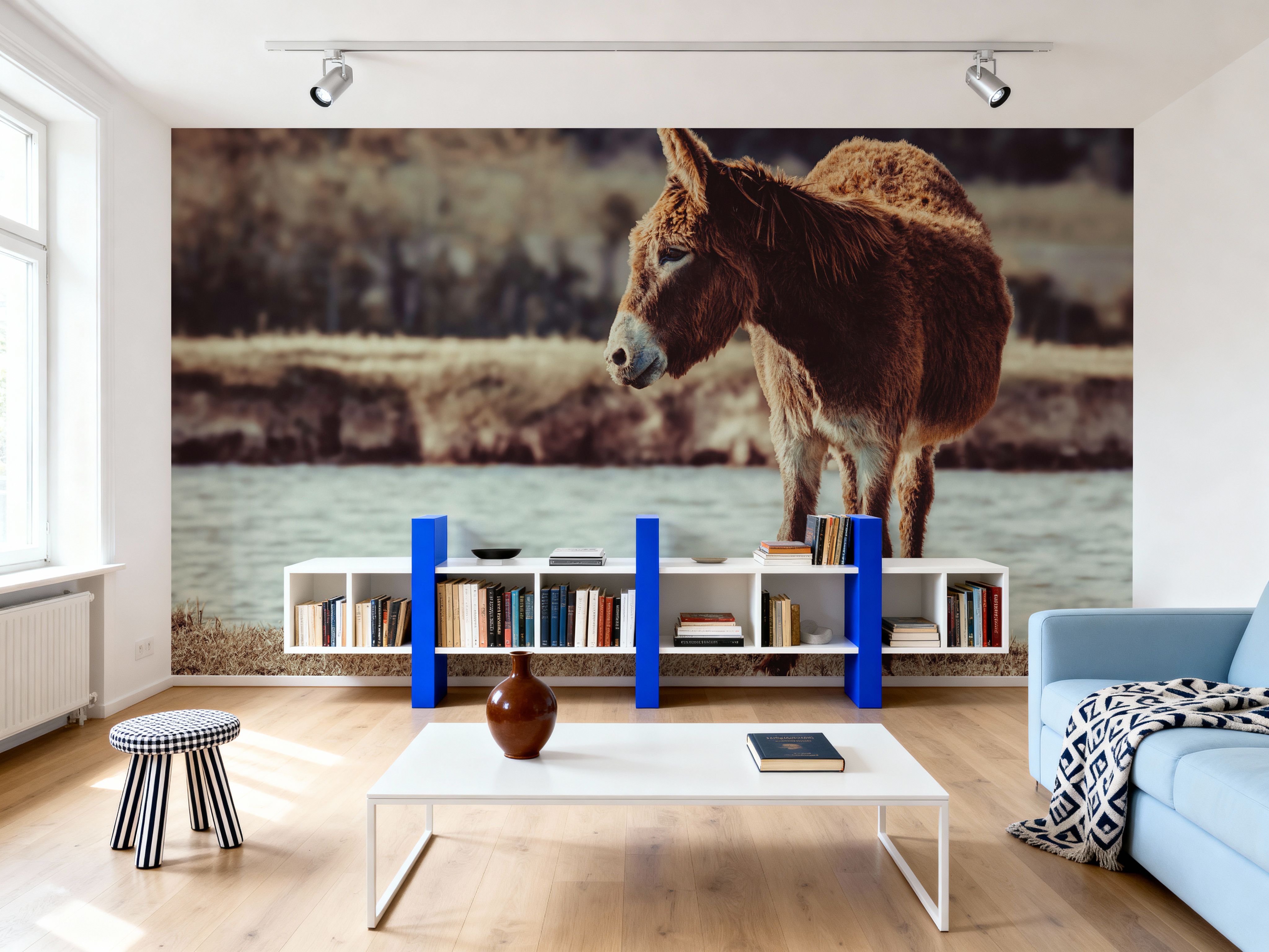 Donkey Summer I