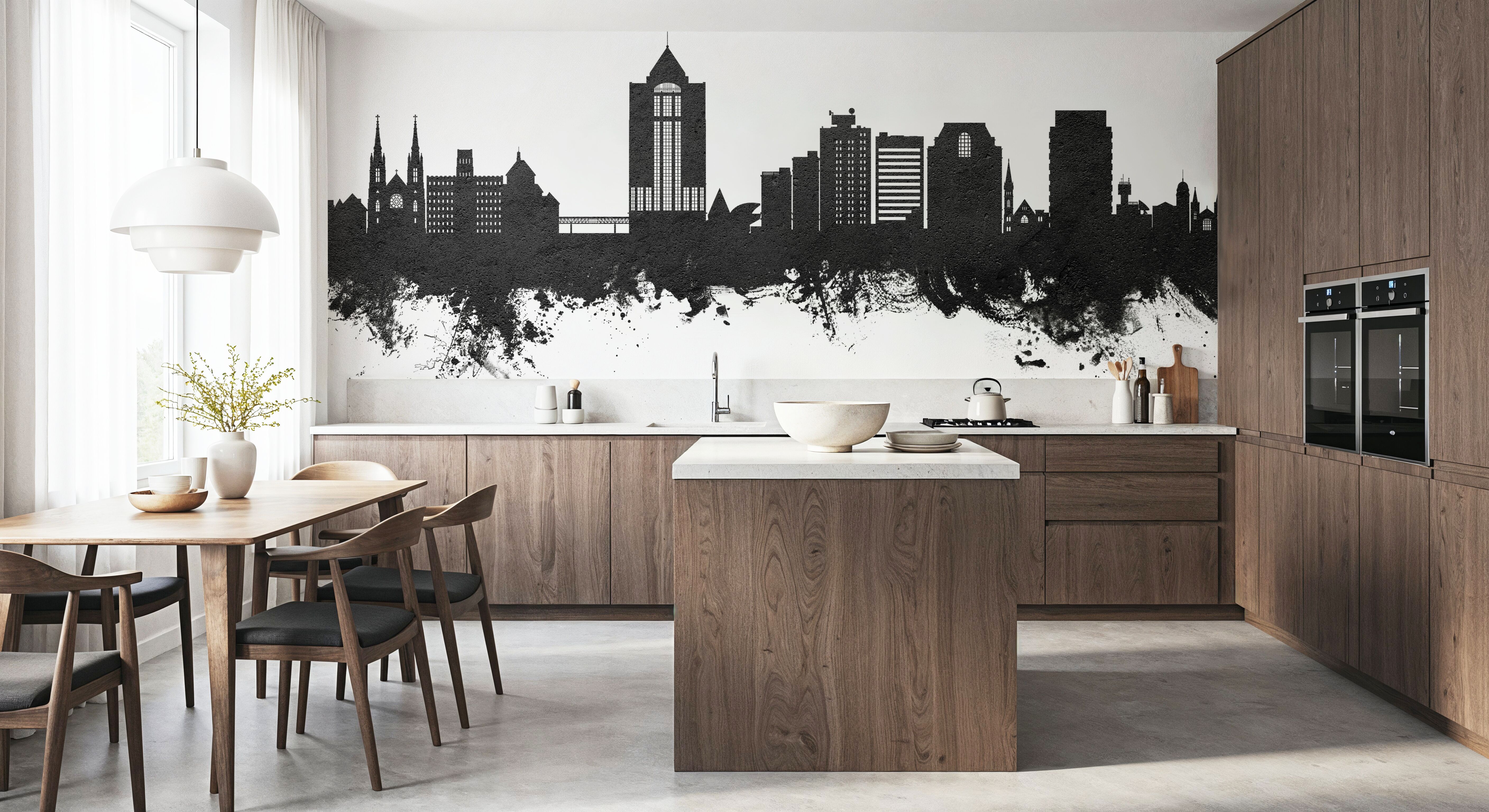 Roanoke Virginia Skyline Black & White