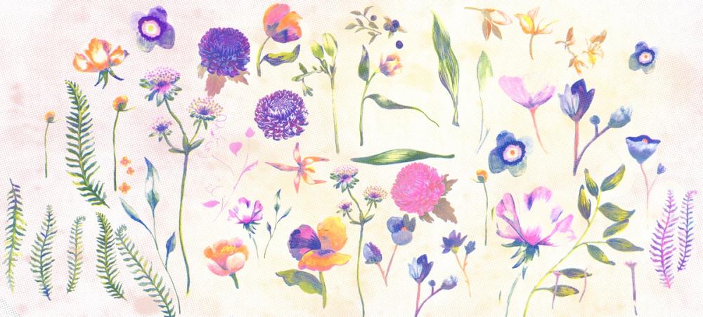 Floral Gaze, Cream