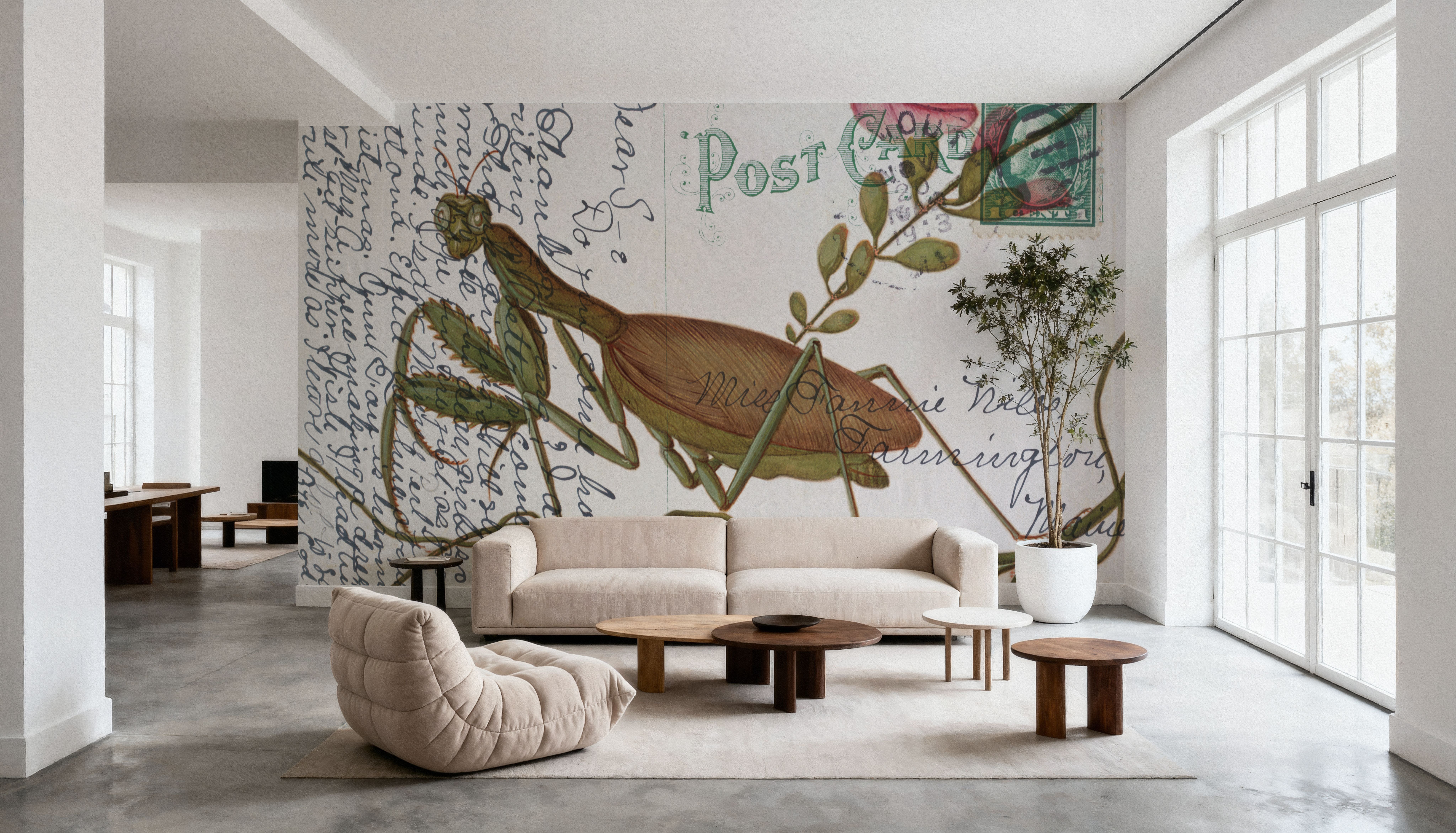 Praying Mantis Postcard