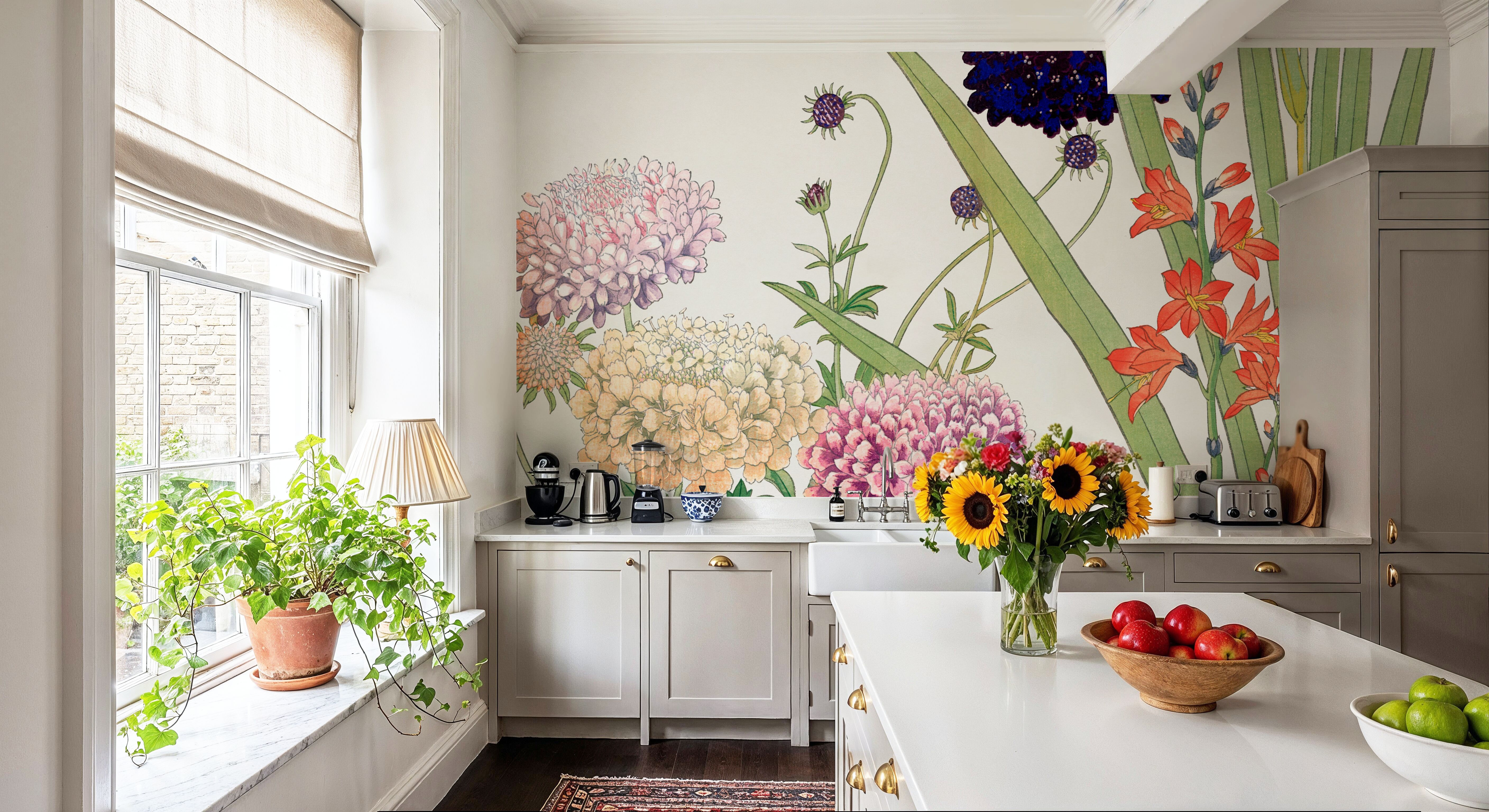 Tanigami Scabiosa, Wallpaper