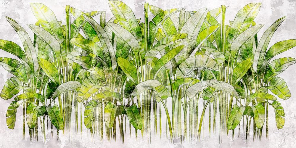 Wild Green Leaves 
