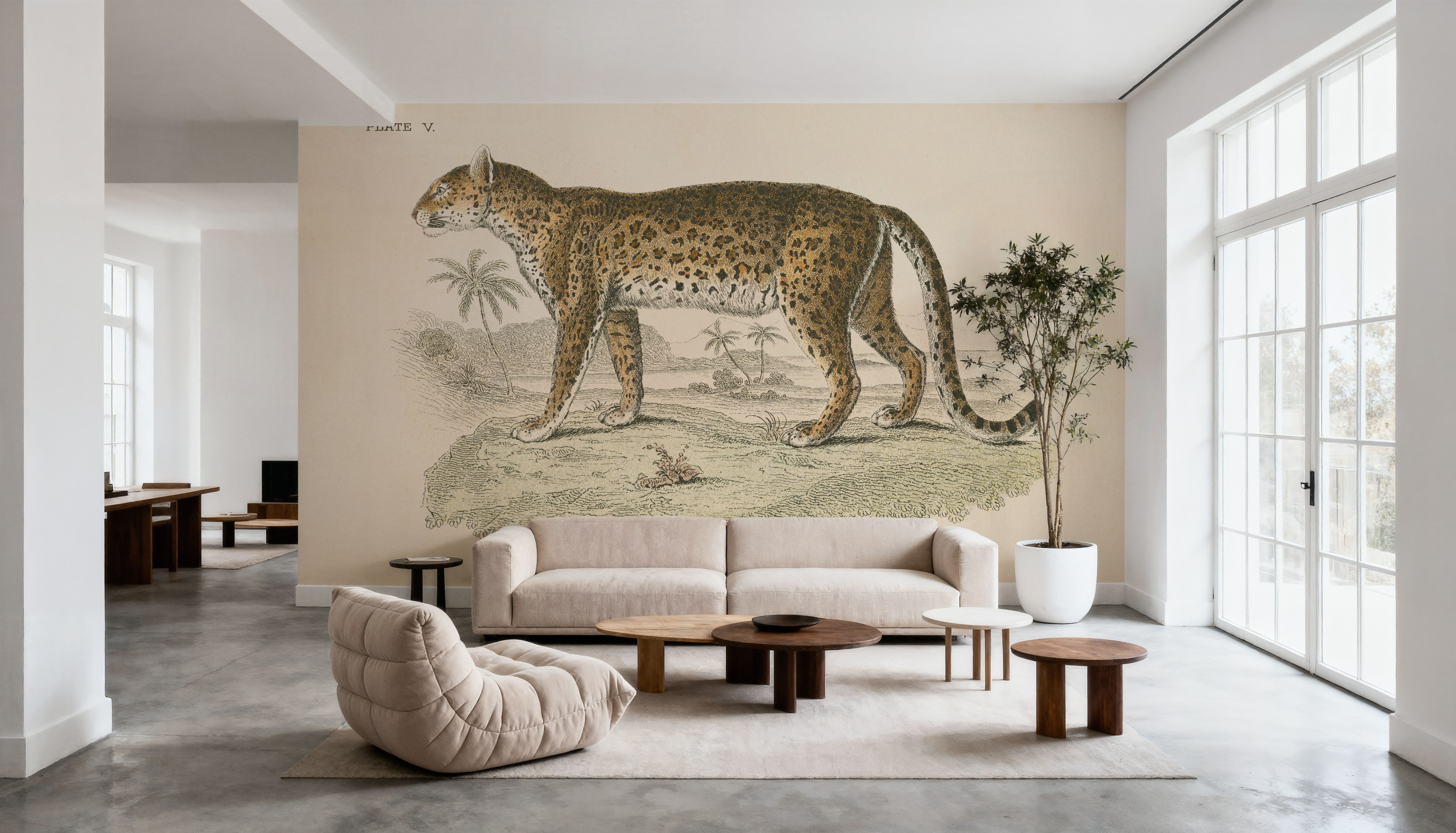 Animals of Africa II