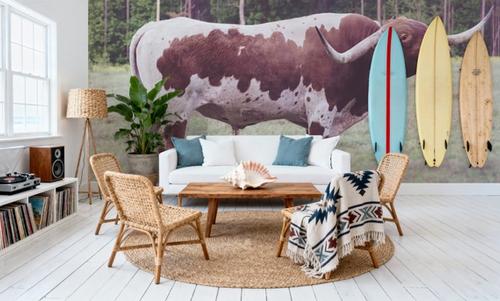 Longhorn Bull