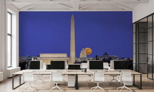 DC Moon