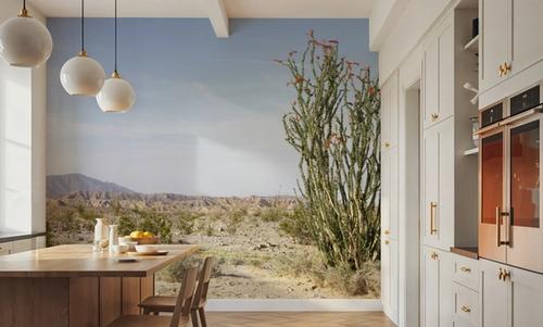 Desert Ocotillo