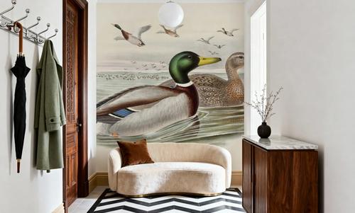 Mallard