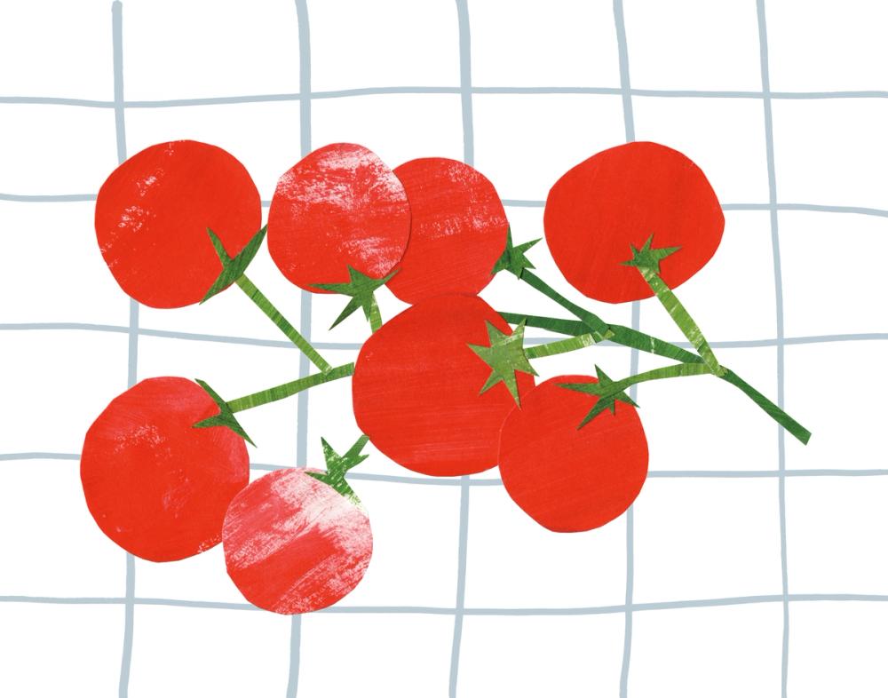 Fresh Tomatoes II