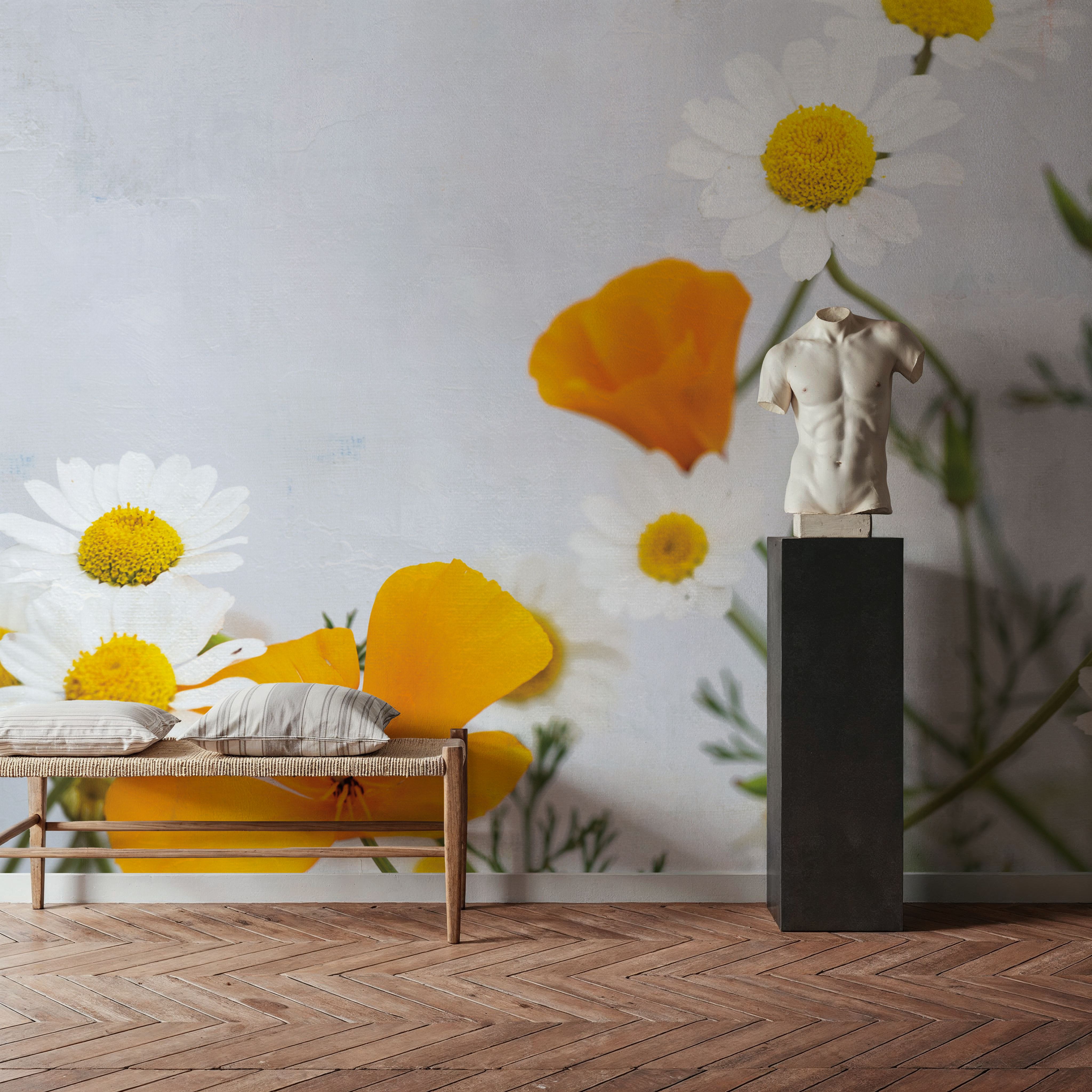 Daisies