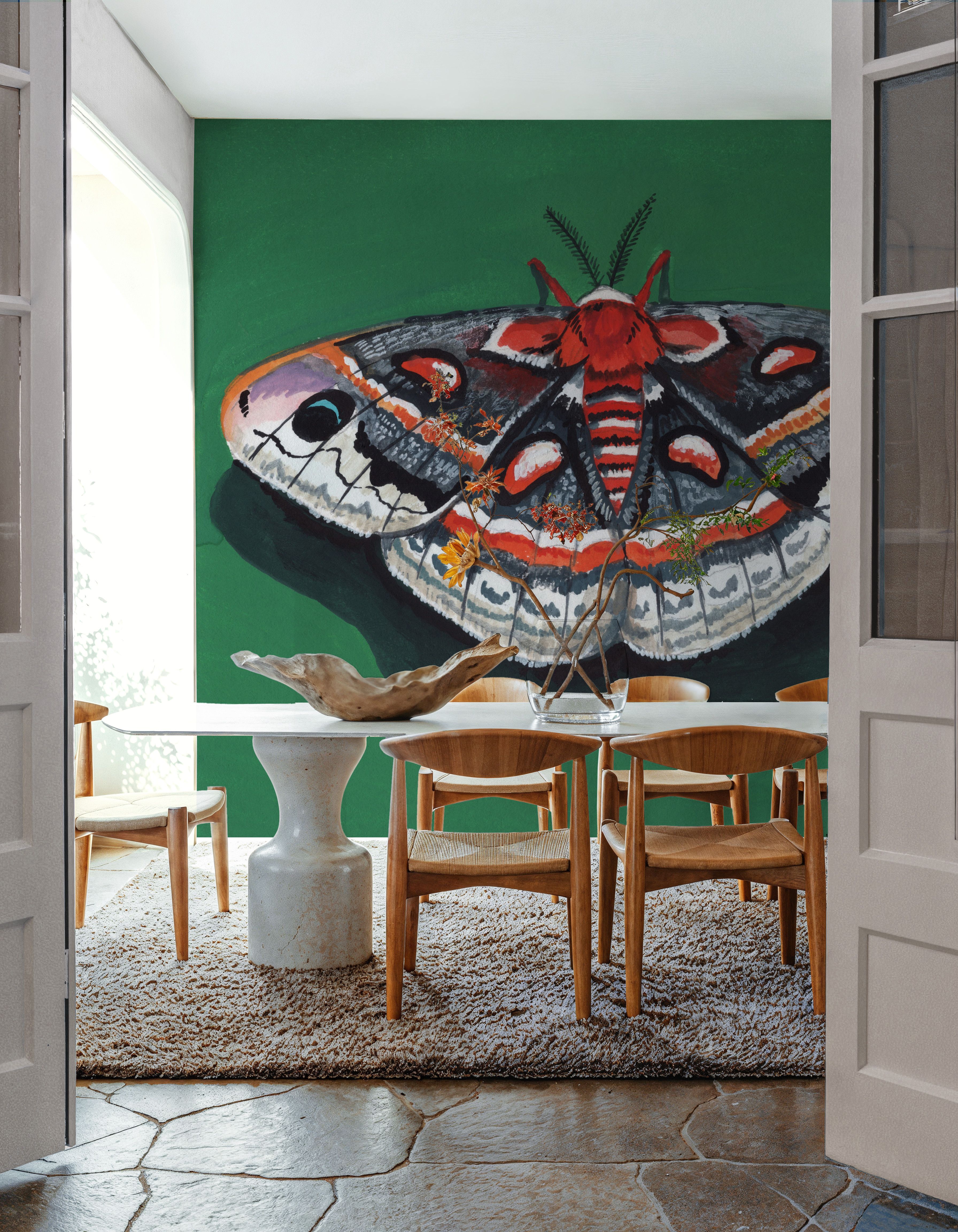 Cecropia Moth