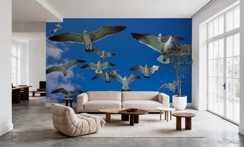 Soaring Seagulls