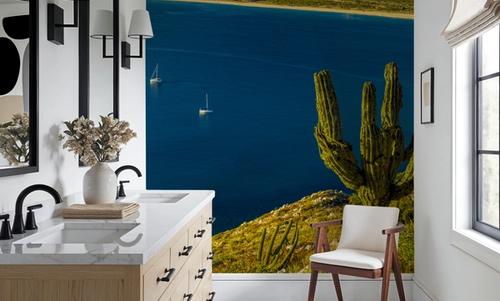 Cardon Cactus