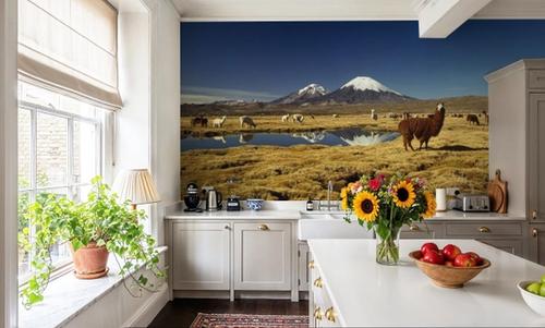 Andean Serenity