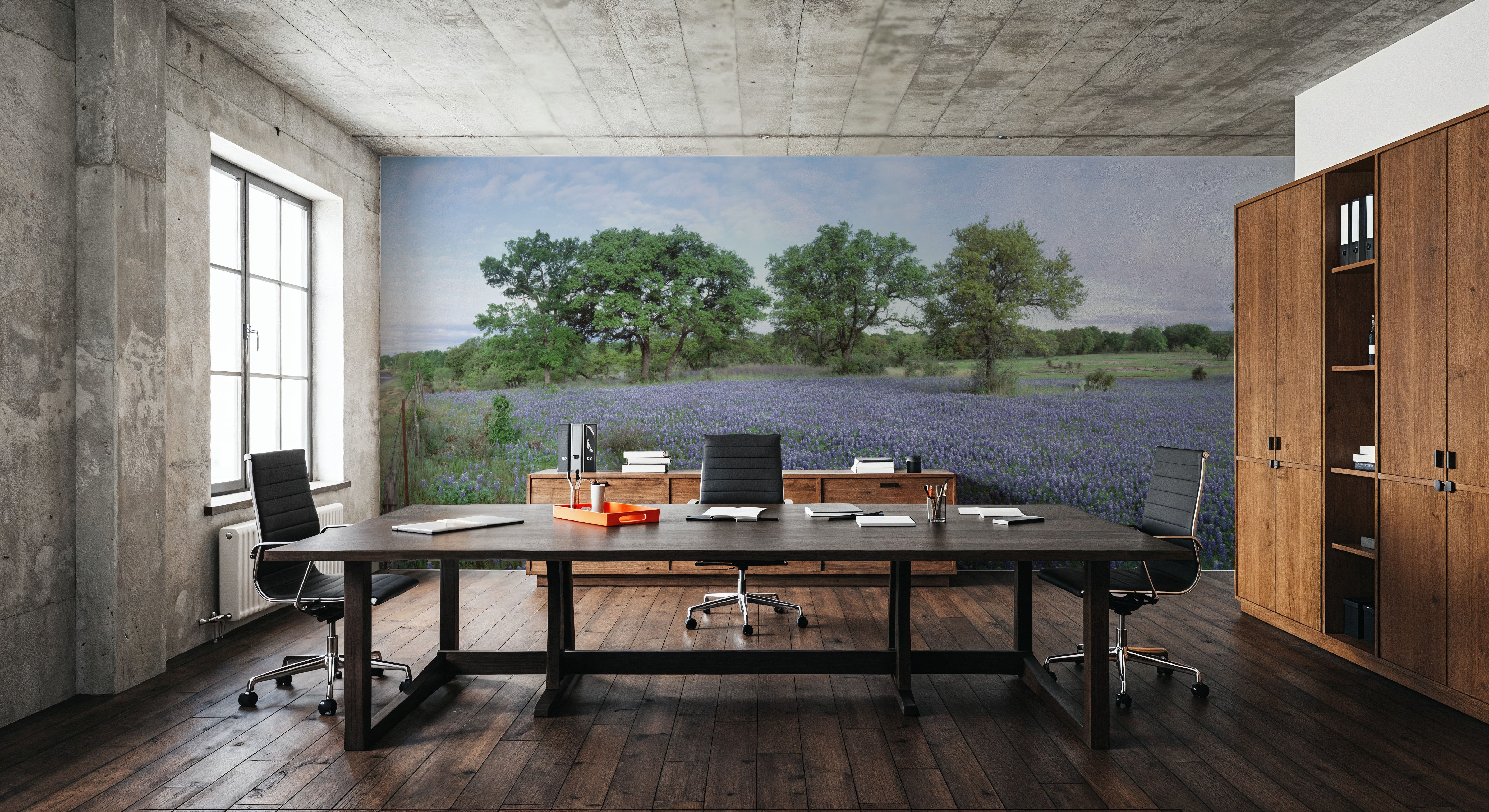 Texas Bluebonnet Paradise