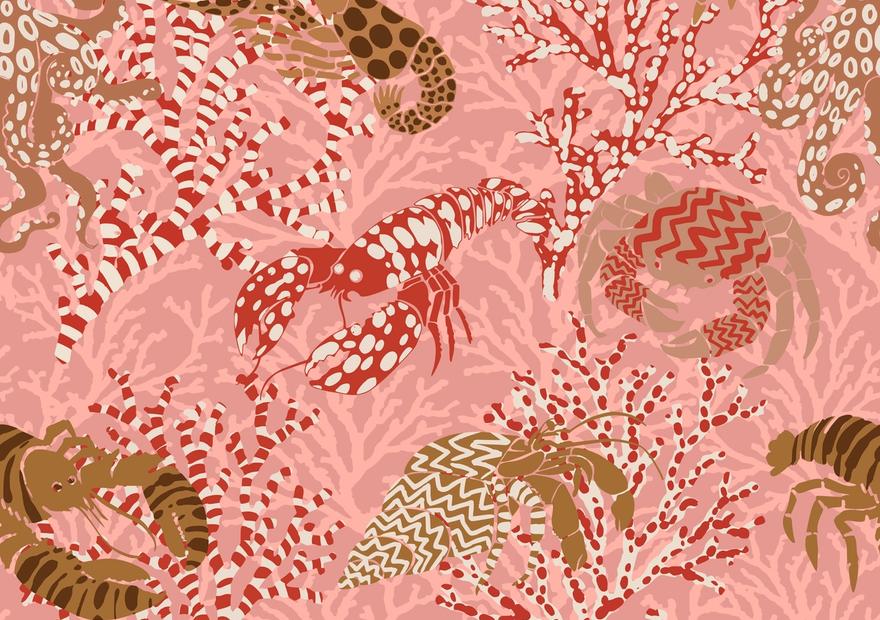 Vibrant Coral Reef, Coral