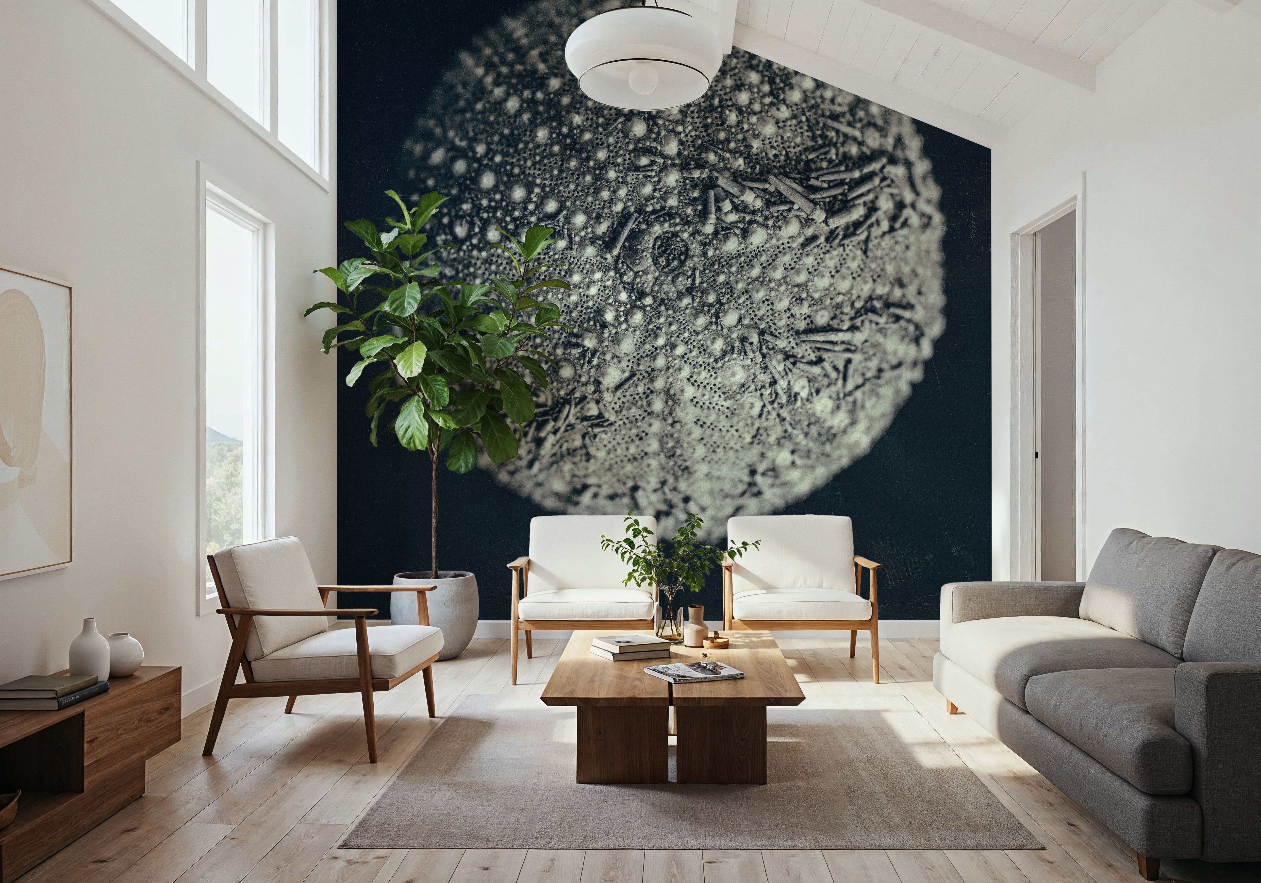 Urchin Still Life II, Tapeten