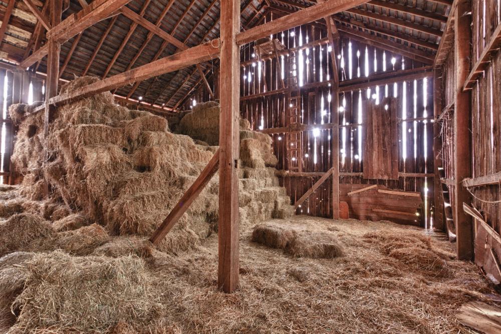 Barn Beams