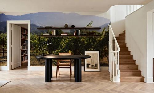 Napa Grape Vines